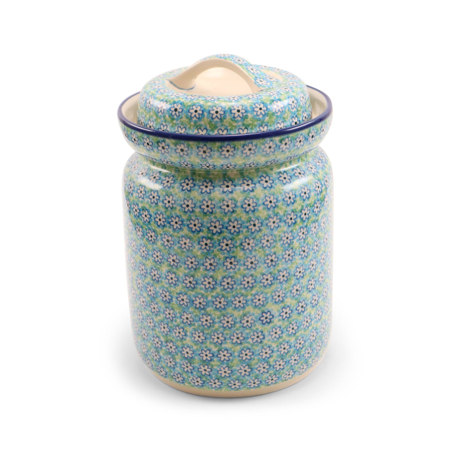 3.5L Hermetic Container. Pattern: Daisy Blues
