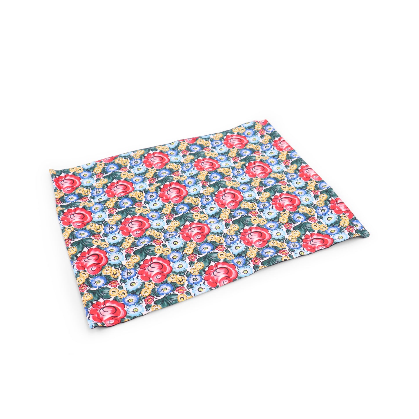 20"x14" Placemat Pack of 2. Pattern: Color