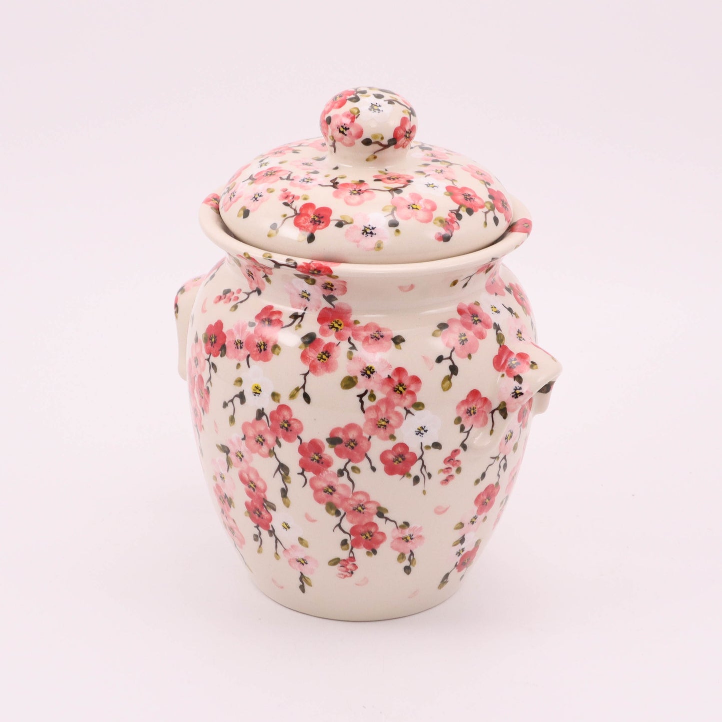 1.5L Large Container with Lid. Pattern: A25